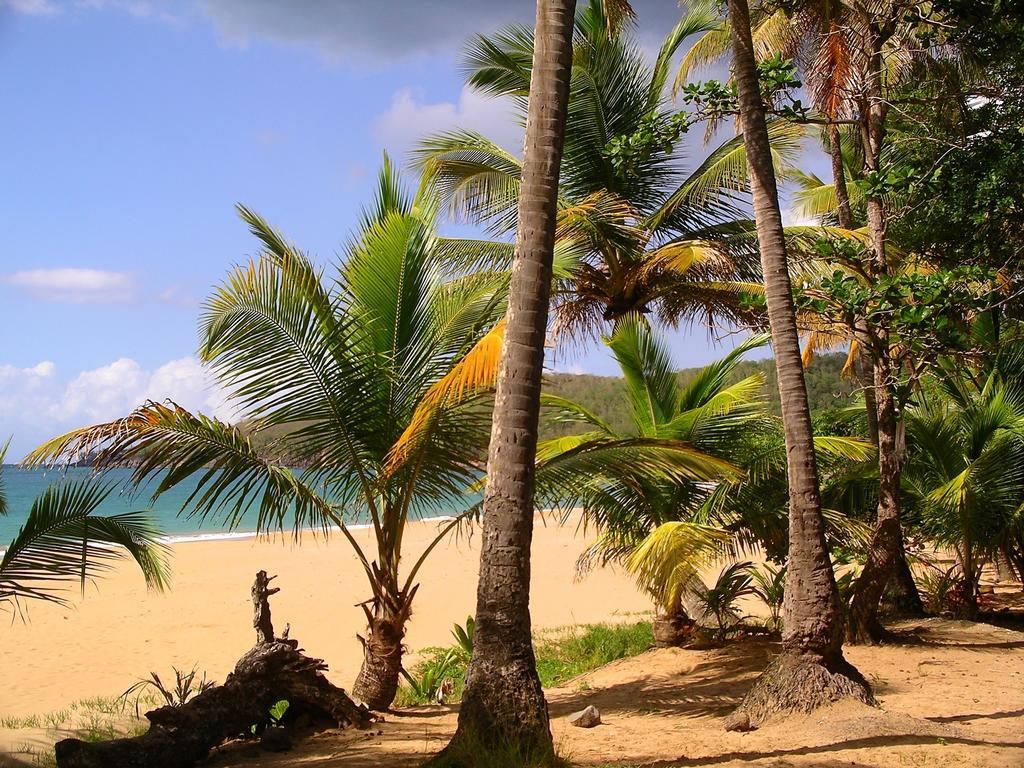 Mangoplaya Villa Deshaies Luaran gambar