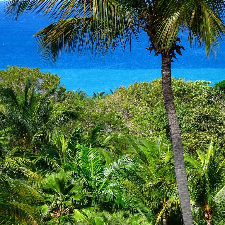 Mangoplaya Villa Deshaies Luaran gambar