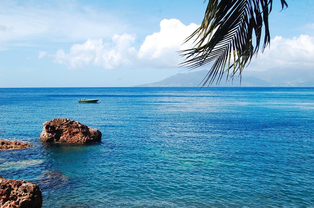 Mangoplaya Villa Deshaies Luaran gambar