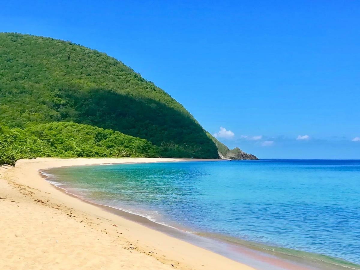 Mangoplaya Villa Deshaies Luaran gambar