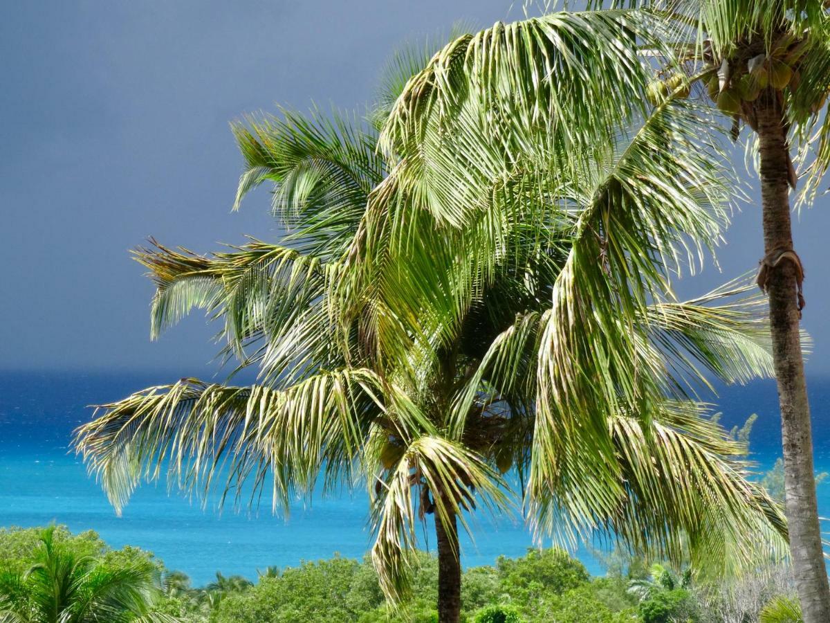 Mangoplaya Villa Deshaies Luaran gambar